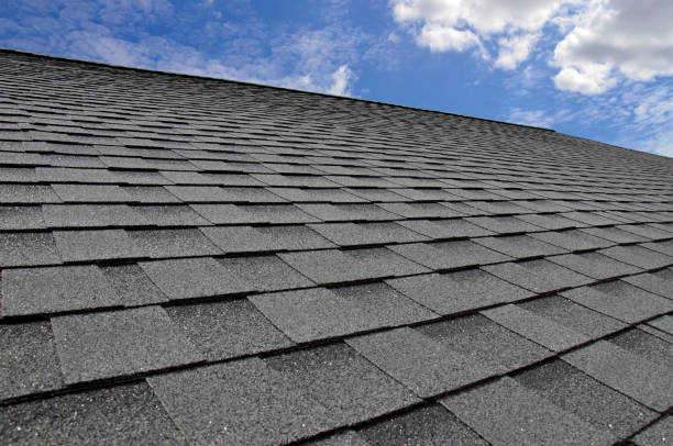 Best Storm Damage Roof Repair  in Grosse Pointe Park, MI